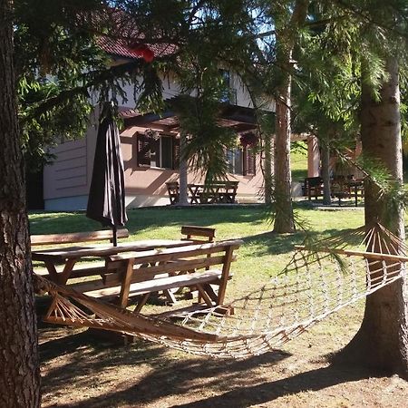 Vila Davidovic-Fruska Gora Nagyolaszi Kültér fotó