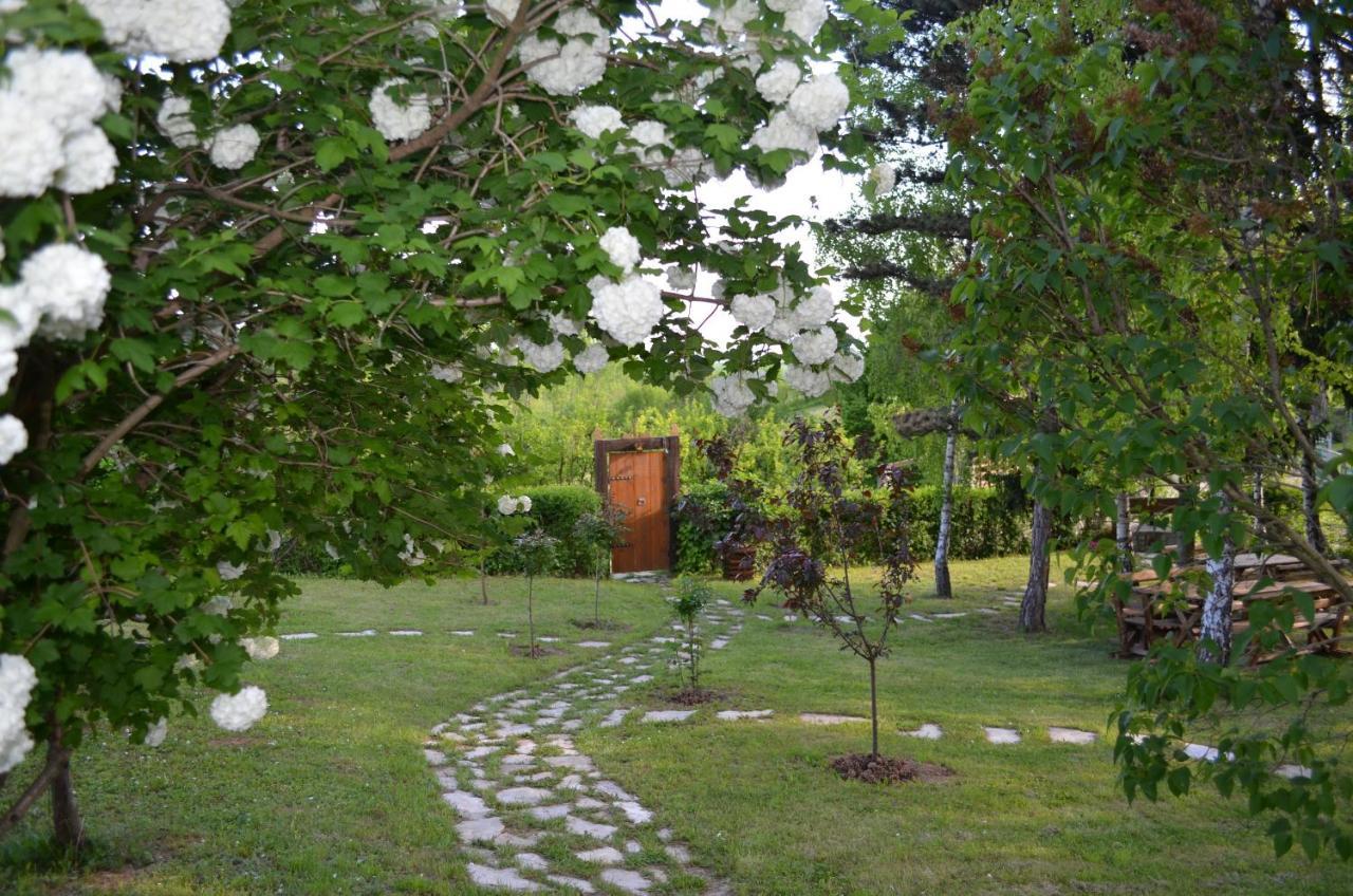 Vila Davidovic-Fruska Gora Nagyolaszi Kültér fotó
