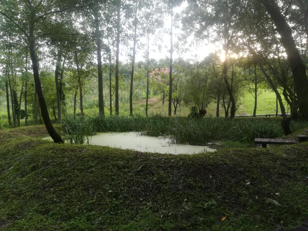 Vila Davidovic-Fruska Gora Nagyolaszi Kültér fotó