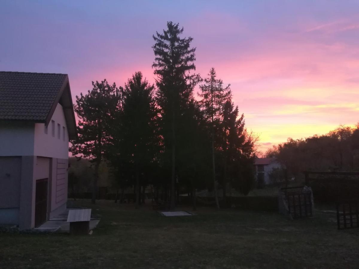 Vila Davidovic-Fruska Gora Nagyolaszi Kültér fotó