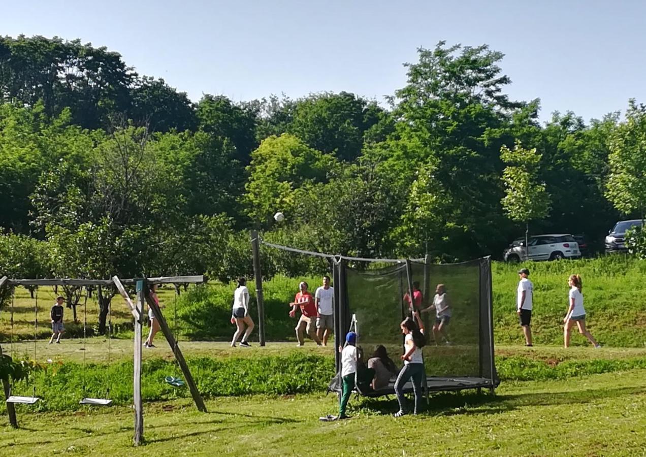 Vila Davidovic-Fruska Gora Nagyolaszi Kültér fotó