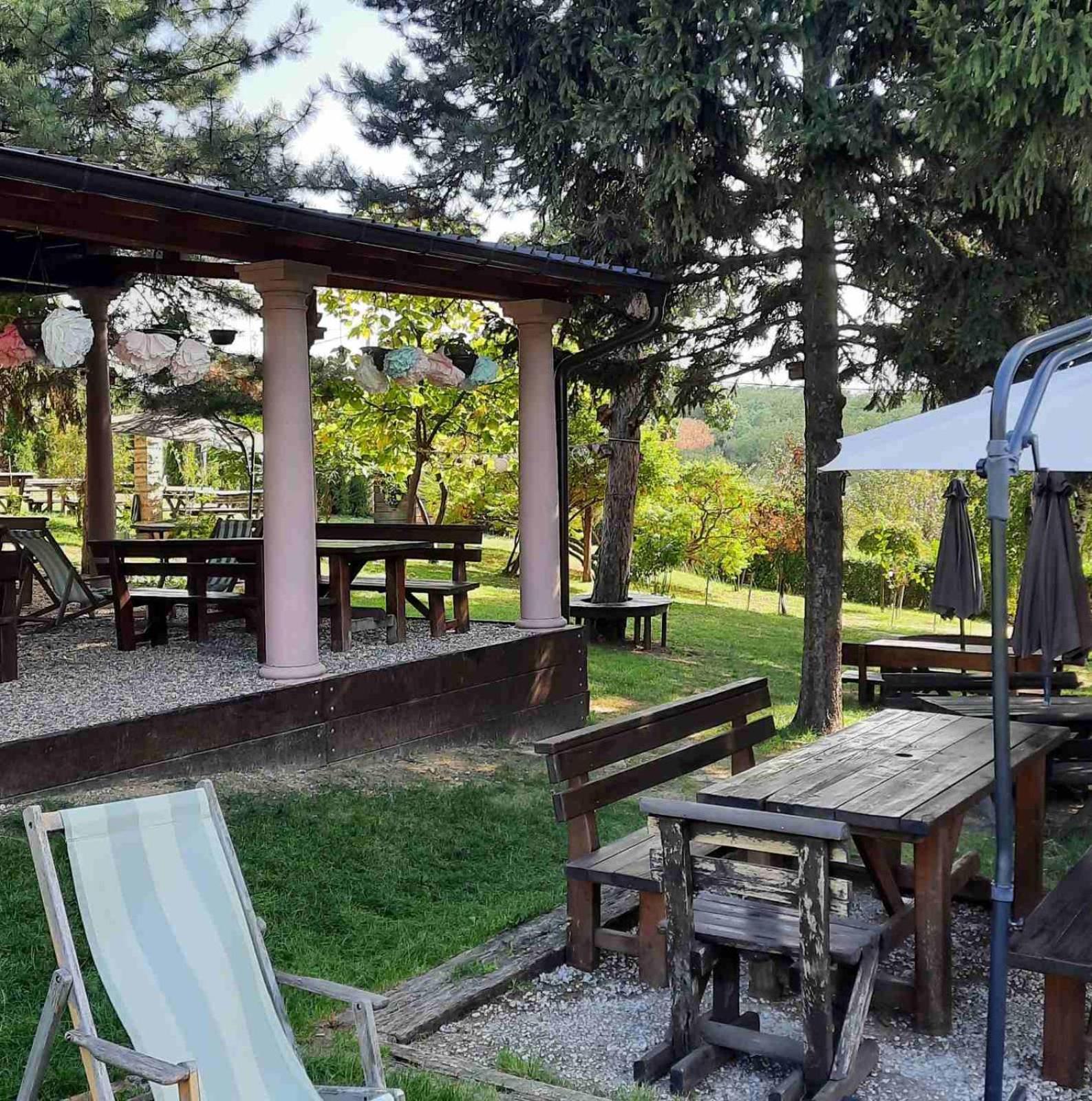 Vila Davidovic-Fruska Gora Nagyolaszi Kültér fotó