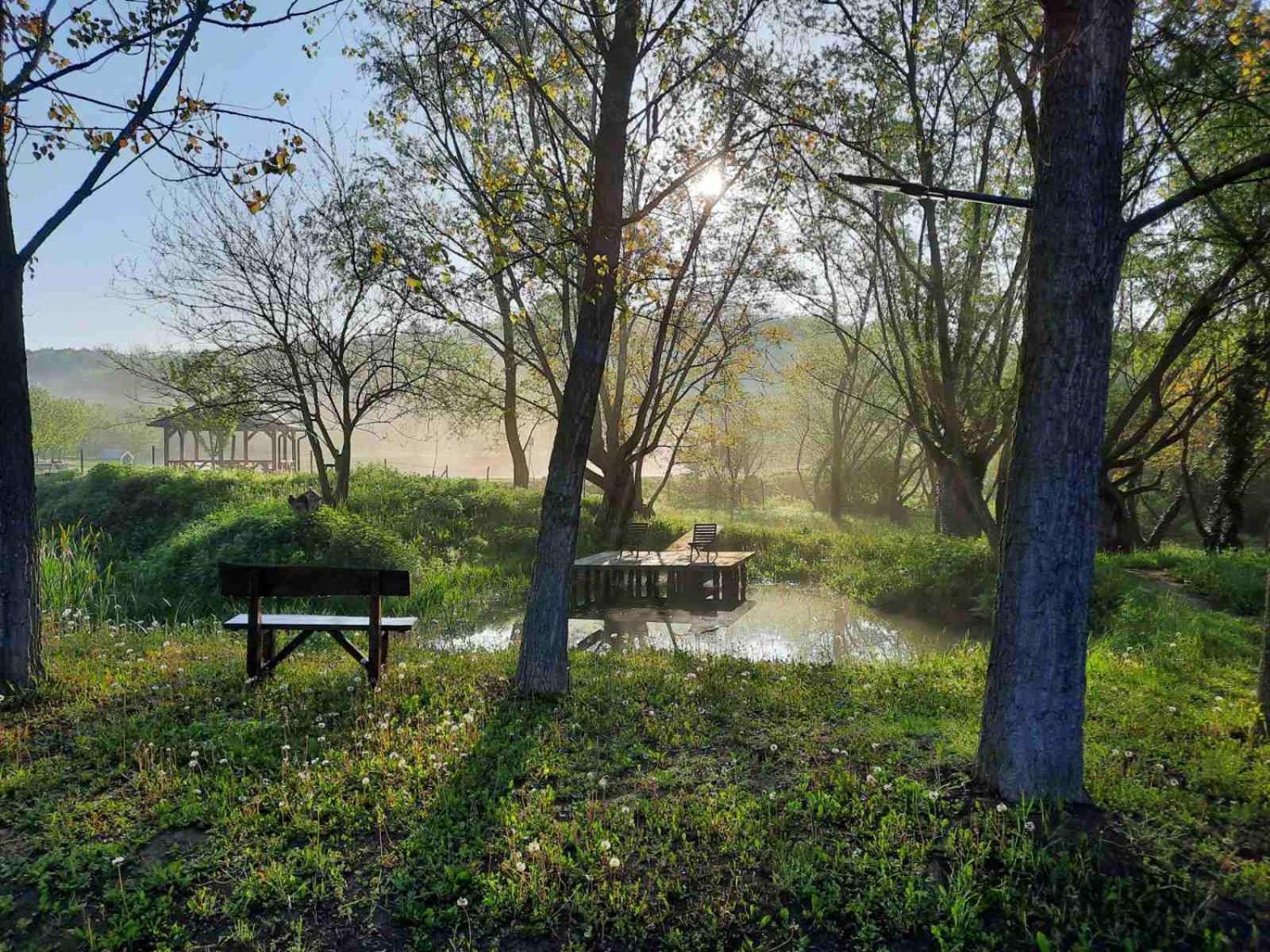 Vila Davidovic-Fruska Gora Nagyolaszi Kültér fotó