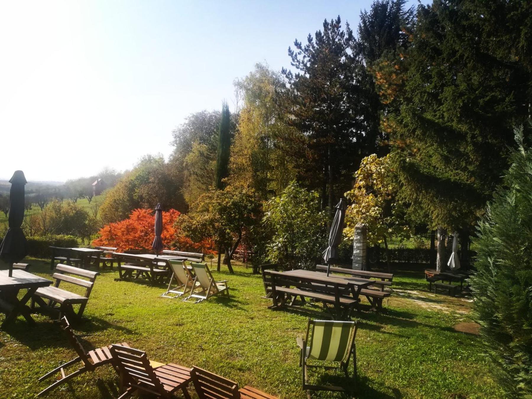 Vila Davidovic-Fruska Gora Nagyolaszi Kültér fotó