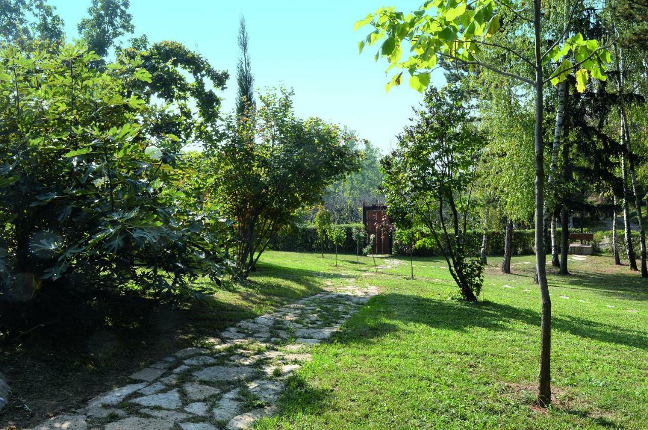Vila Davidovic-Fruska Gora Nagyolaszi Kültér fotó