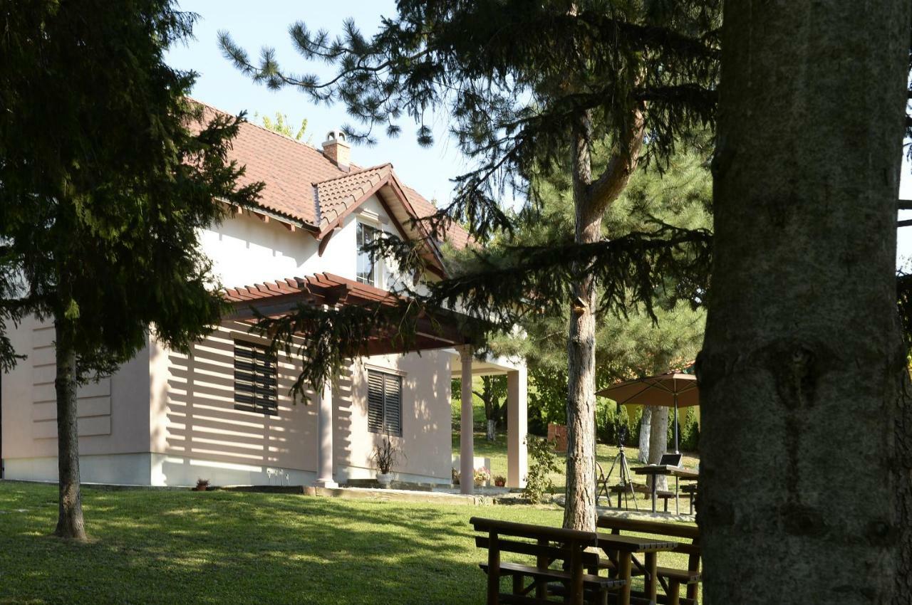 Vila Davidovic-Fruska Gora Nagyolaszi Kültér fotó