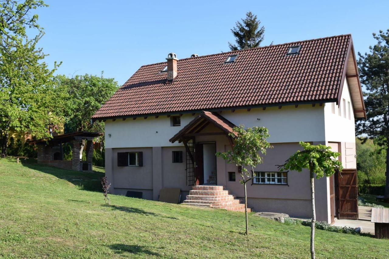 Vila Davidovic-Fruska Gora Nagyolaszi Kültér fotó